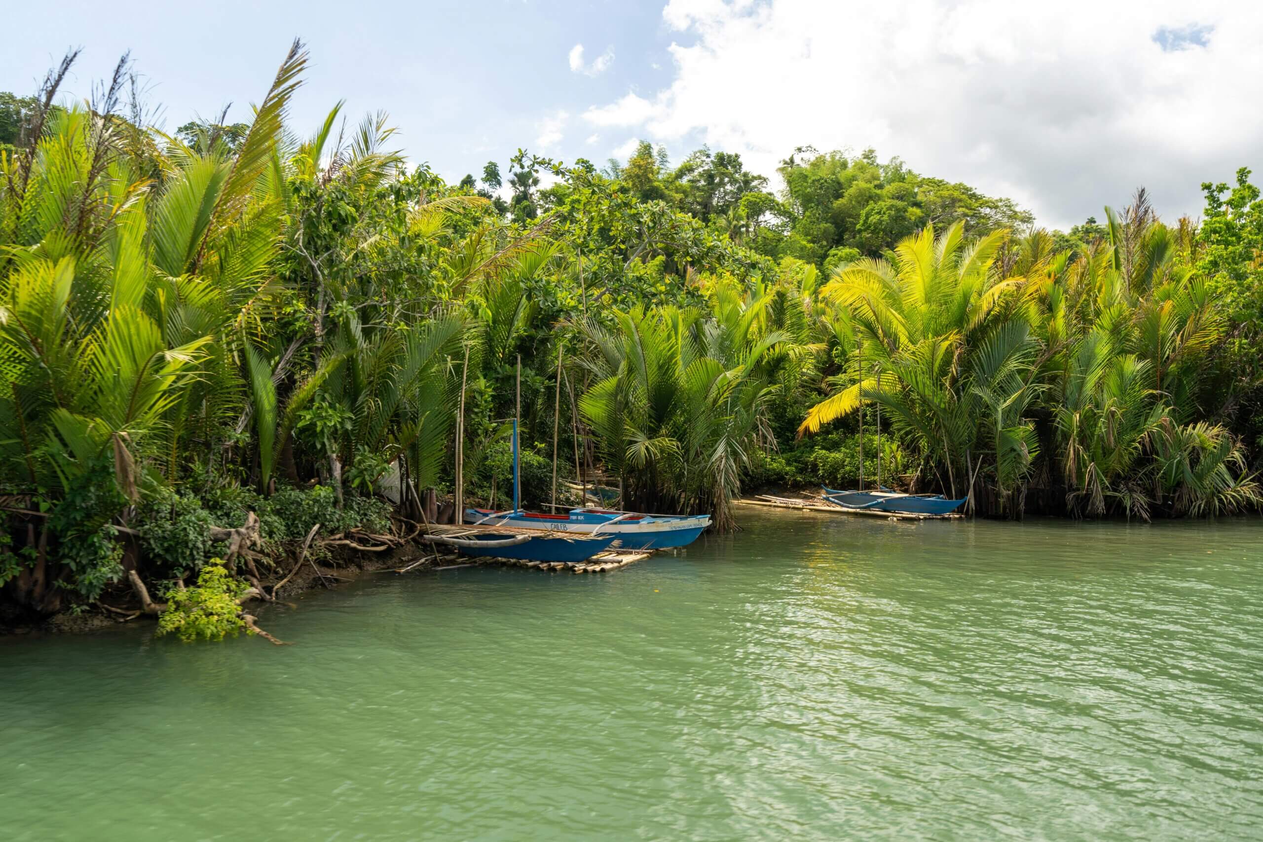 Serene tropical river scene with lush palms and traditional blue boats, ideal for relaxation and exploration.