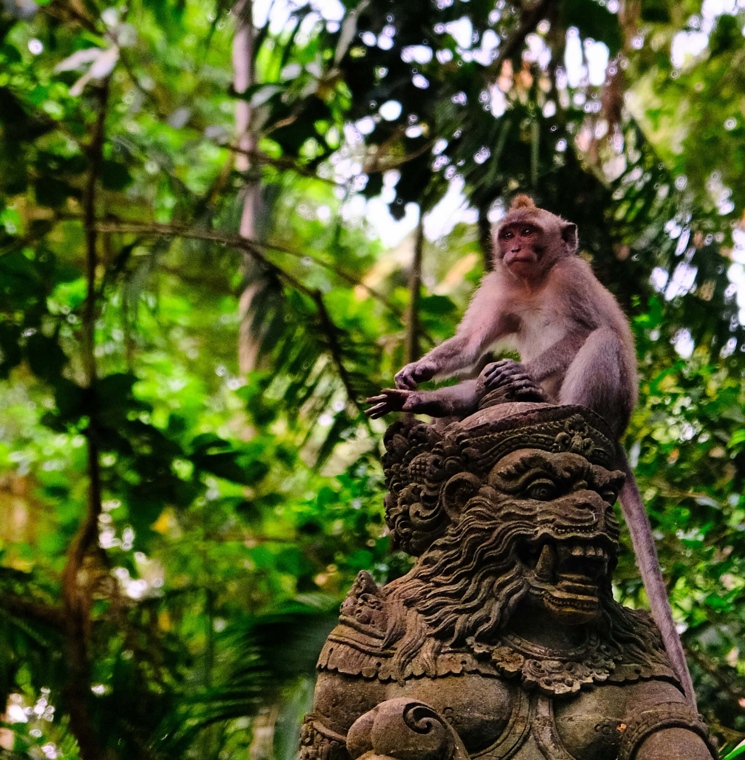 A monkey sits atop an intricately carved stone statue surrounded by lush jungle foliage.