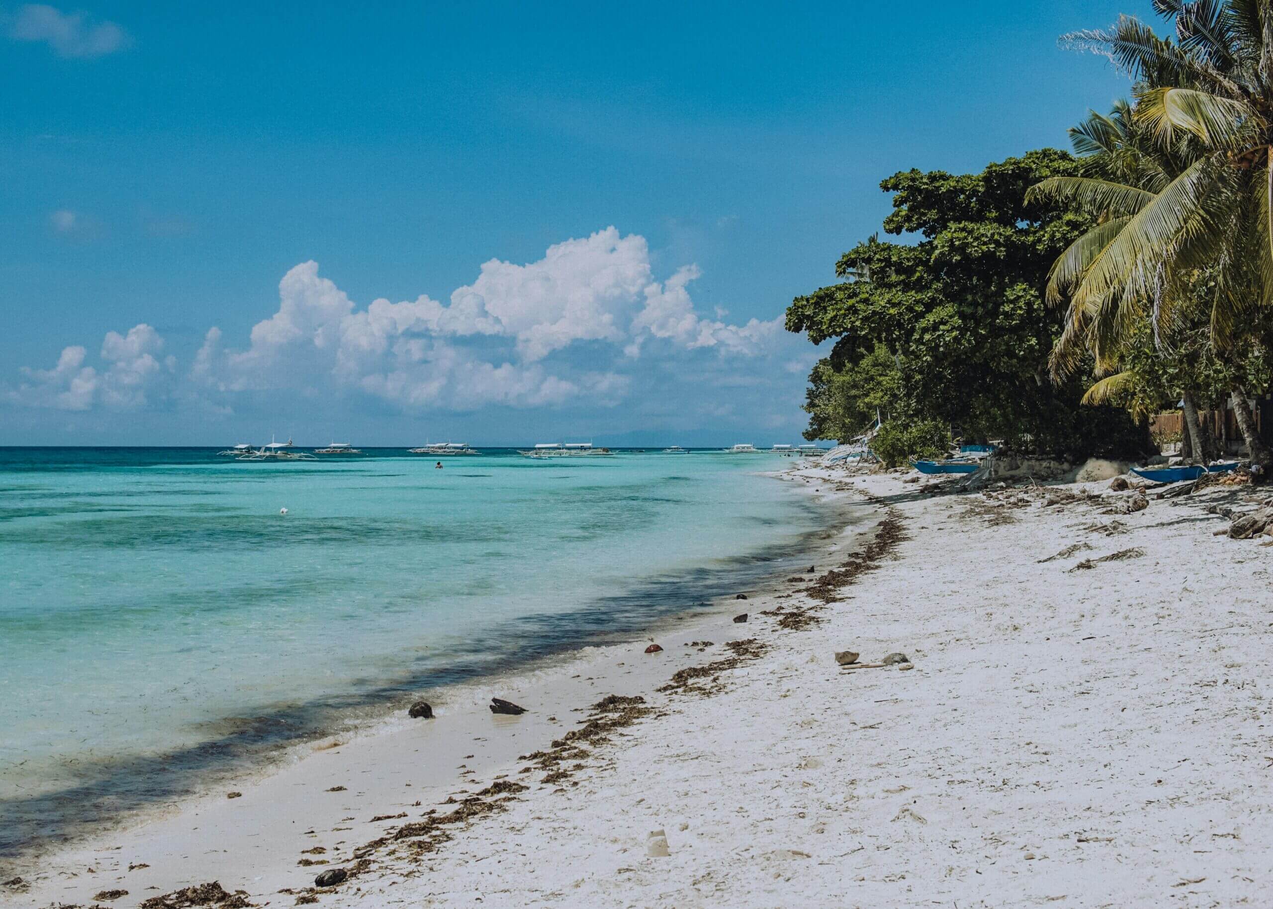 Serene tropical beach with white sand, crystal clear water, and lush palm trees under a bright blue sky.